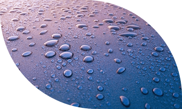 different cleaning tools